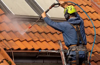 Démoussage et hydrofuge de toiture à Alexain